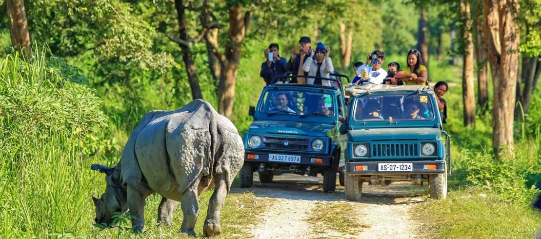 Kaziranga Tour